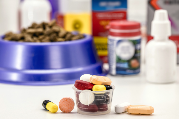 Různé druhy léků a antibiotik pro psa